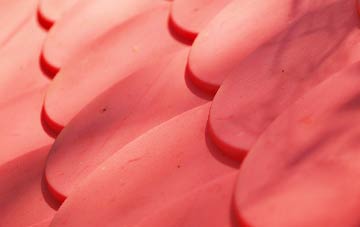 Neen Sollars plastic roof costs