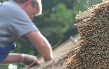 professional Neen Sollars thatchers